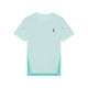 Flurry/Aquamarine